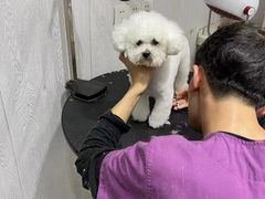 -宠颐生动物医院·小陆分院