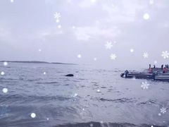 -日照灯塔风景区