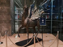 -北京希尔顿逸林酒店