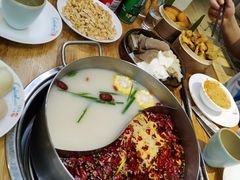 -青瓷火锅料理(西单大悦城店)