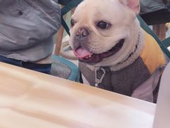 -小团圆糖水铺(襄阳南路店)