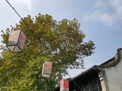 -长广溪湿地公园