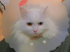 -小时光咖啡馆(开森度假森林店)