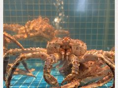 -海味世家·家常菜馆(明州里店)