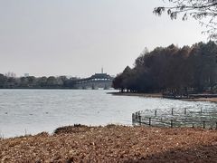 -长广溪湿地公园