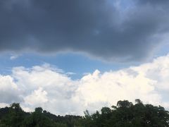 -红山村