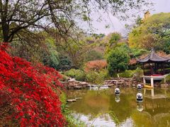 -虞山风景区
