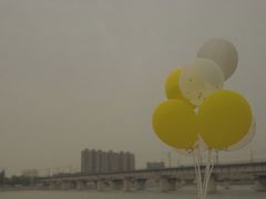 -灞河西岸滨河公园