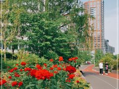 -北外滩滨江绿地