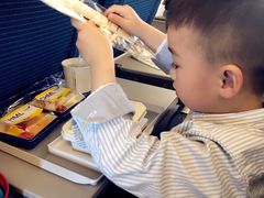 -全日本空输株式会社(上海办事处)