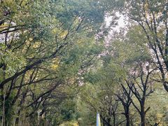 -艾溪湖湿地公园