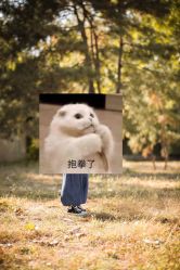 -芒果树国际儿童摄影(月亮河店)