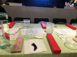 -明宇集团·积木枝芽母婴健康管理中心(天府店)