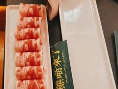 -熊喵来了火锅(四平万达第56分店)