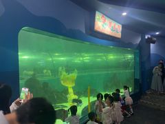 -苏州海洋馆