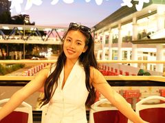 -Big Bus Tours 敞篷观光巴士