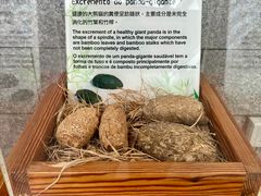 -石排湾郊野公园