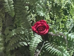 -香秀空间科技抗衰·美容中心