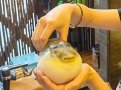 -肆月河豚·新淮扬(金融街店)