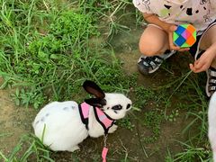 -永定河休闲森林公园