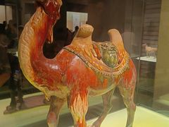 -南京博物院