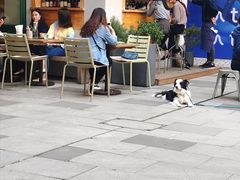 -RAC BAR(安福路店)