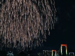 -台场海滨公园船码头