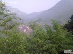 -鲁山国家森林公园