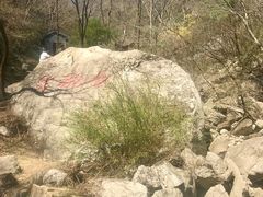 -王顺山国家森林公园