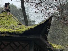 -岳麓山风景名胜区