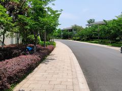 -湘湖金融镇
