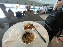 -虹桥机场国航贵宾室v8