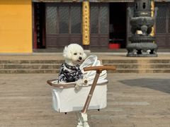 -海天禅寺