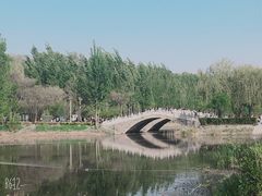 景点-白洋淀风景区