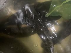 -金三可市井水煮鱼(金碧园店)