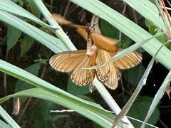 -东天目山风景区