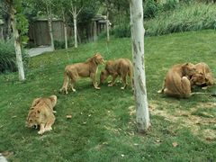 -北京野生动物园