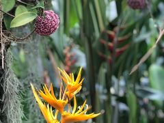 -华南国家植物园-售票处