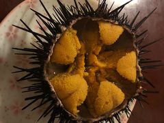 -樱の花亭日本料理店