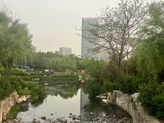-丁家河公园