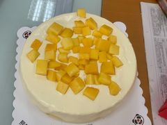 -熊猫不走生日蛋糕(东城店)