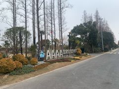 -上海长兴岛郊野公园