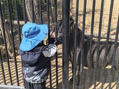 -石家庄市动物园