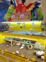 -卡通尼乐园·生日会(烟台永旺店)