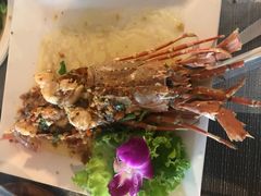-Onion restaurant