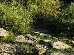 -深圳湾公园(南山区)