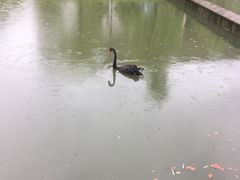 -南京医科大学(江宁校区)