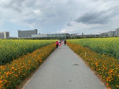 -光明小镇欢乐田园