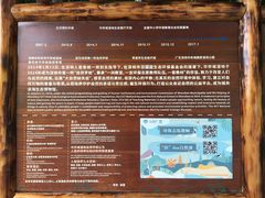 -华侨城湿地公园