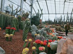 -南通洲际绿博园